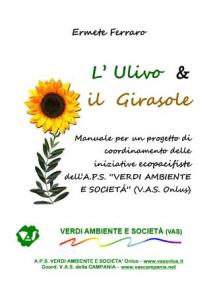 ulivo girasole